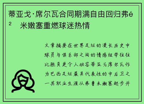 蒂亚戈·席尔瓦合同期满自由回归弗鲁米嫩塞重燃球迷热情