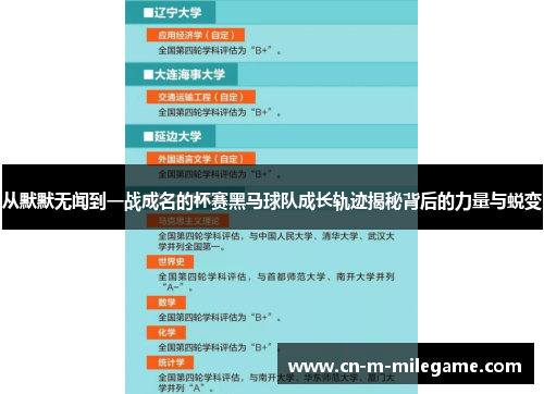 从默默无闻到一战成名的杯赛黑马球队成长轨迹揭秘背后的力量与蜕变